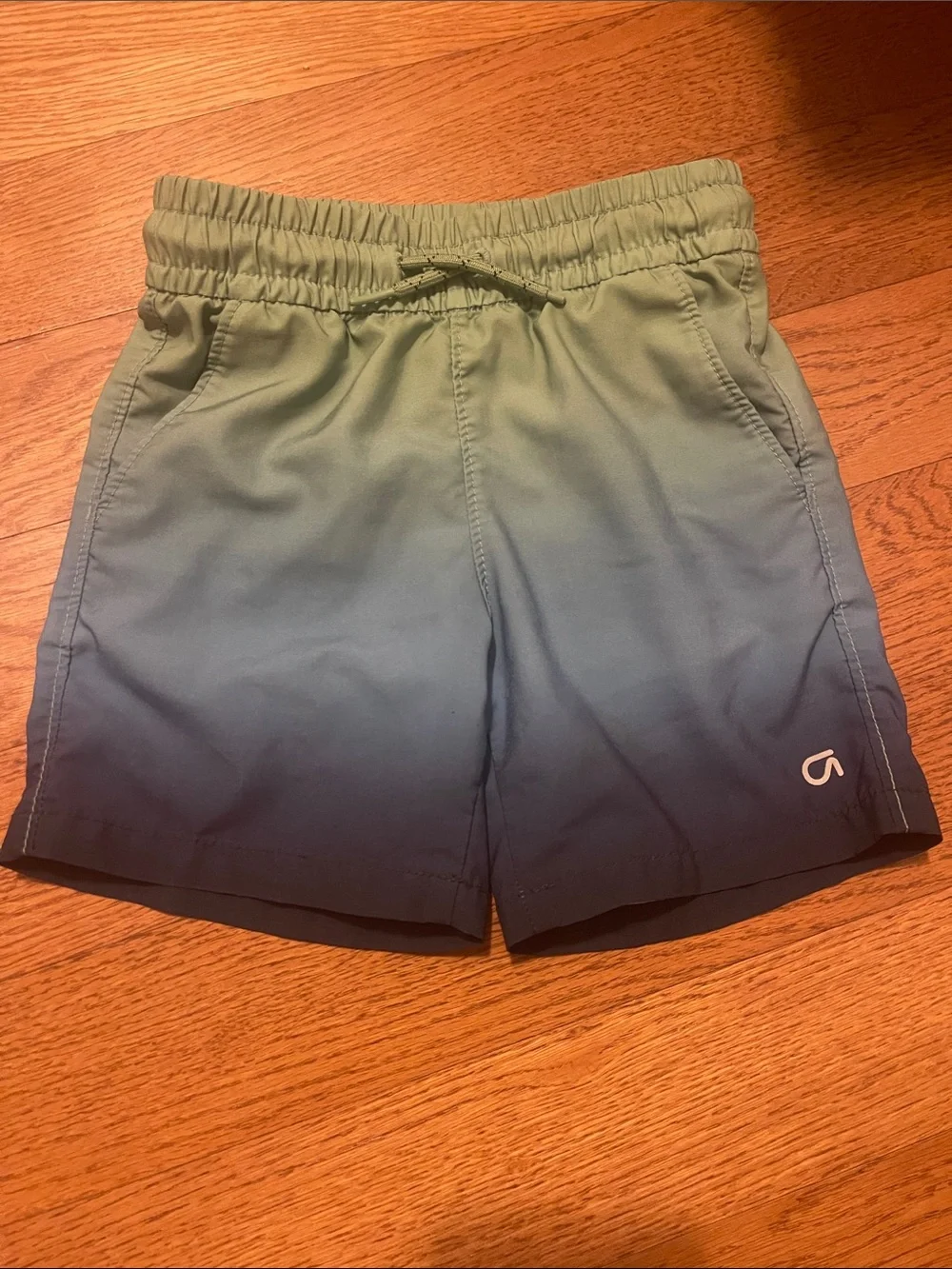 GAP Boys Ombre Green to Blue Swim Trunks